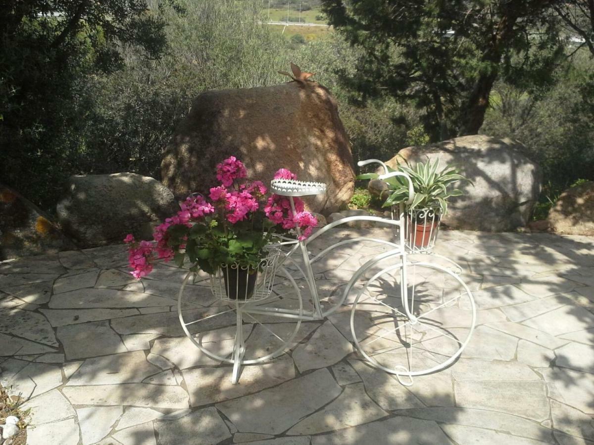 Villa Desideria B&B Capitana Buitenkant foto